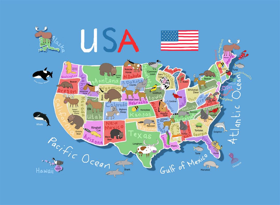 Detailed cartoon map of the USA