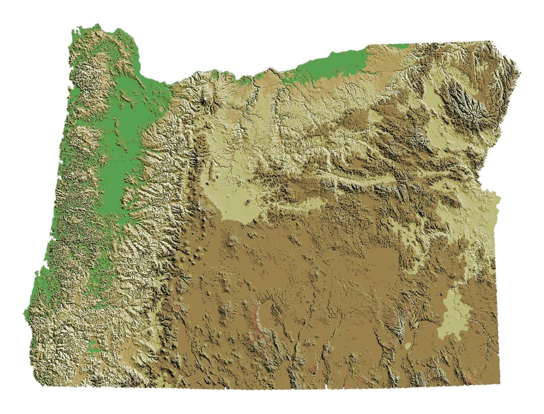 Detailed relief map of Oregon state